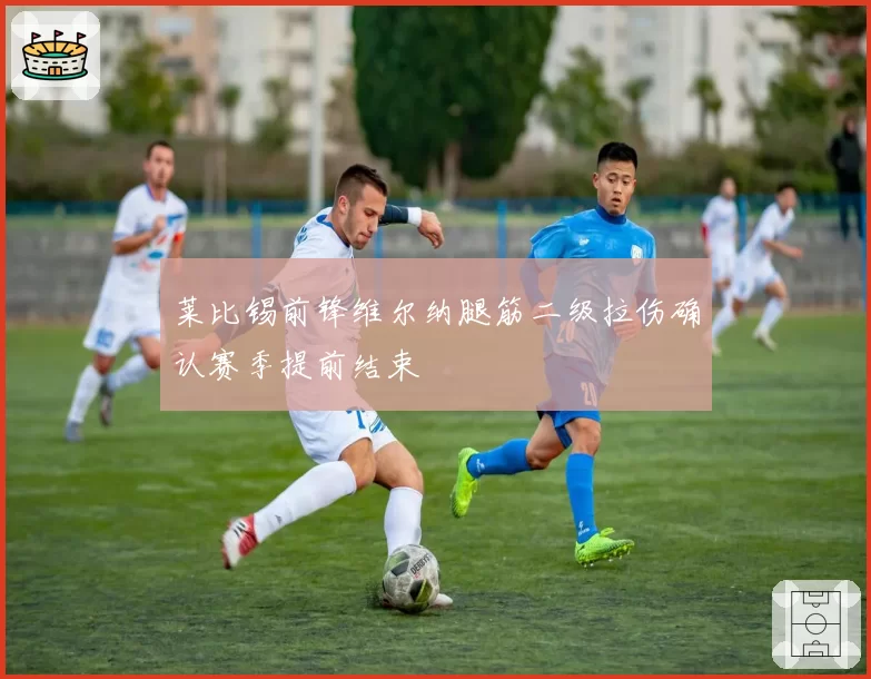 莱比锡前锋维尔纳腿筋二级拉伤确认赛季提前结束