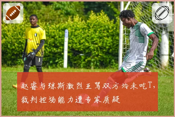 赵睿与琼斯激烈互骂双方均未吃T，裁判控场能力遭专家质疑